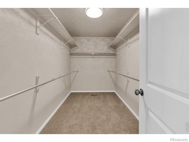 3007 Benfold Street, Loveland, CO 80538