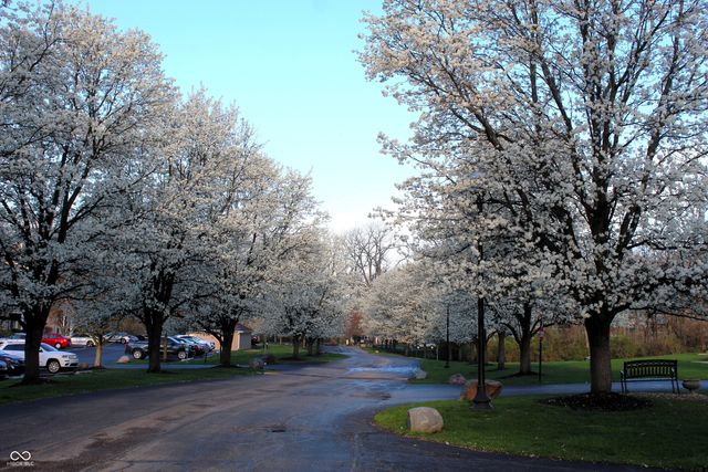 6516 Emerald Hill Court 310, Indianapolis, IN 46237