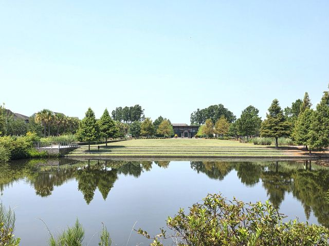 251 Scholar Way, Summerville, SC 29486