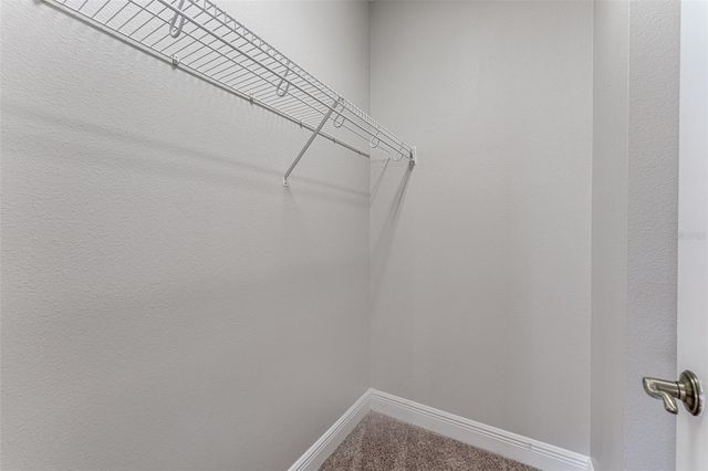 4957 ANNISTON CIRCLE, Tampa, FL 33647