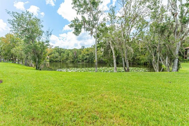 4957 ANNISTON CIRCLE, Tampa, FL 33647