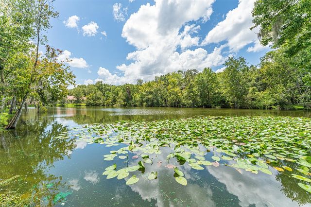 4957 ANNISTON CIRCLE, Tampa, FL 33647