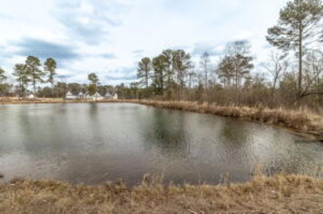 369 Dove Lake Drive, North Augusta, SC 29841