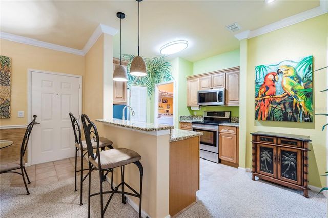 2277 CHIANTI PLACE 3-0039, Palm Harbor, FL 34683