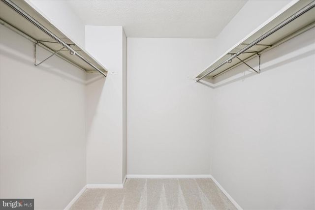 209 S VIRGINIA AVE, Falls Church, VA 22046