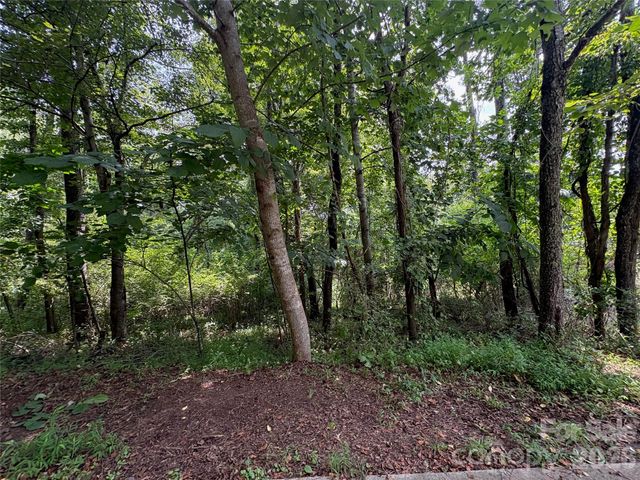 9999 Wescott Way, Alexander, NC 28701