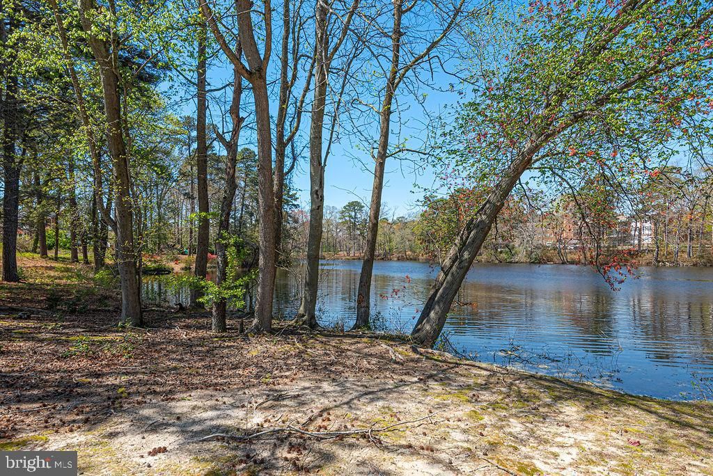 Image 46 of property listing at 311-A UNION AVE, Salisbury, MD 21804