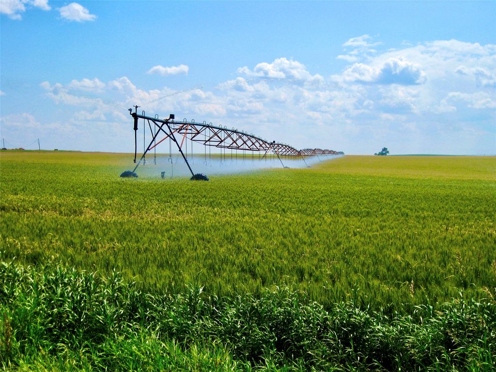 0 Buena Vista Road, Valier, MT 59486