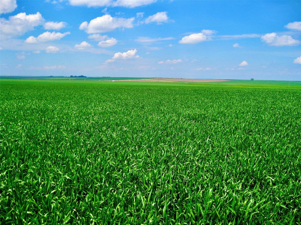 0 Buena Vista Road, Valier, MT 59486 photo 17