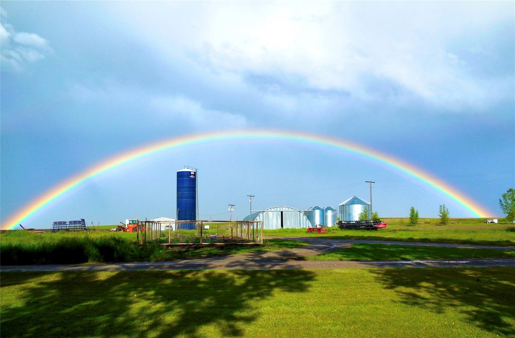 0 Buena Vista Road, Valier, MT 59486 photo 19