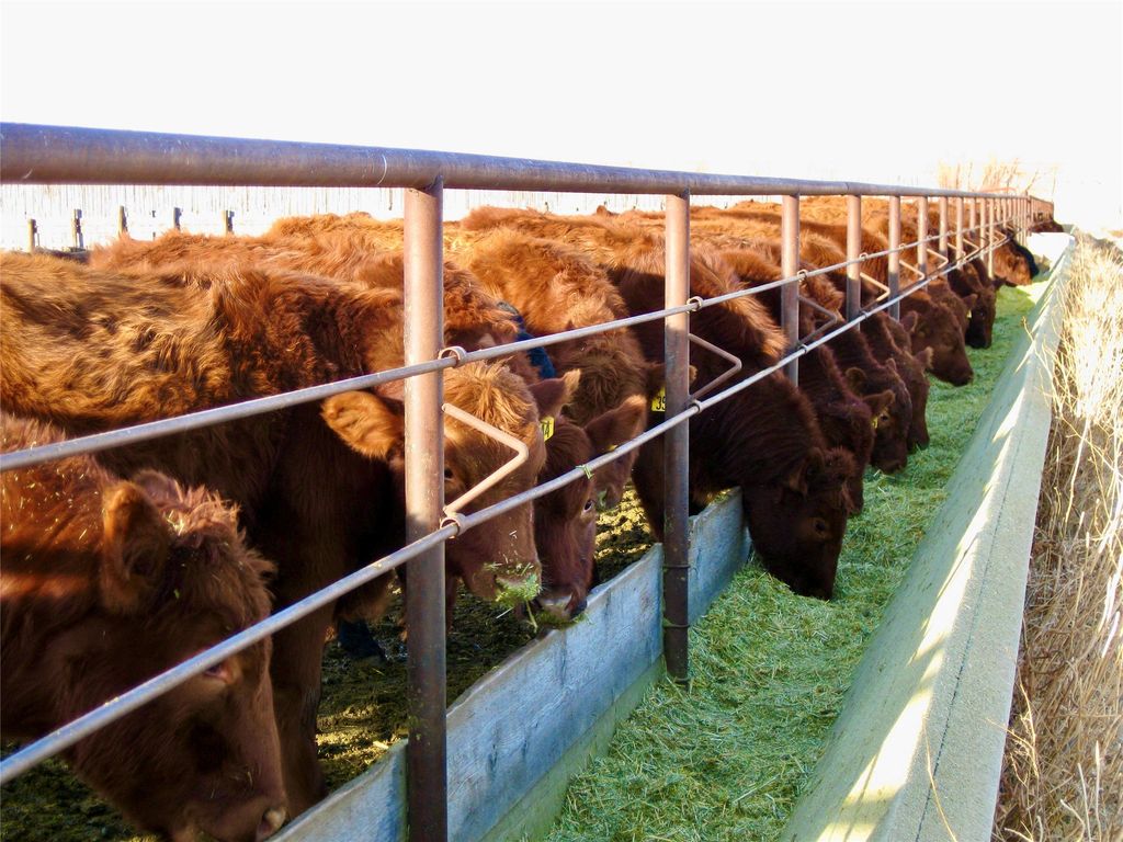 0 Buena Vista Road, Valier, MT 59486 photo 26