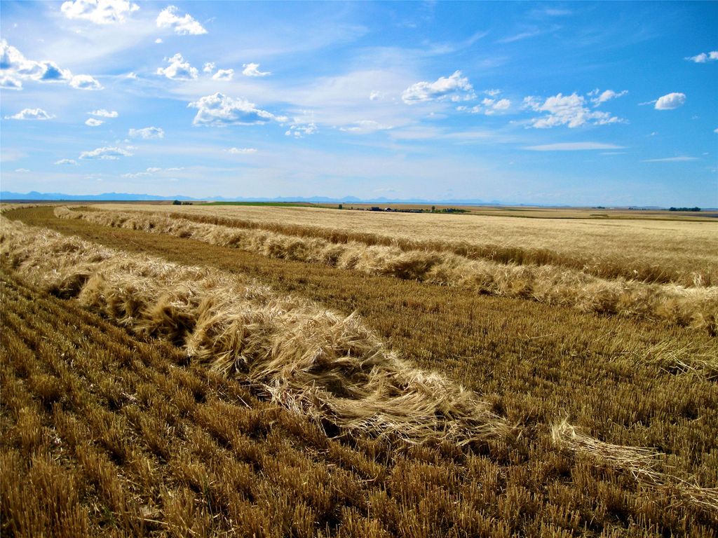 0 Buena Vista Road, Valier, MT 59486 photo 29