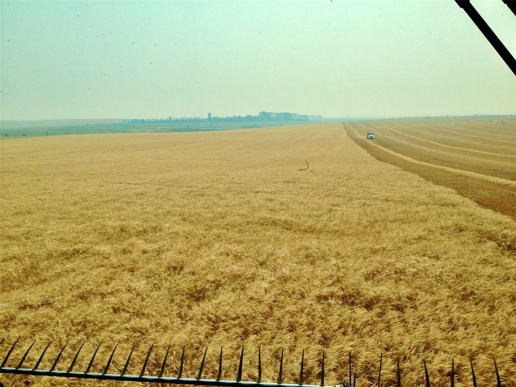 0 Buena Vista Road, Valier, MT 59486 photo 30