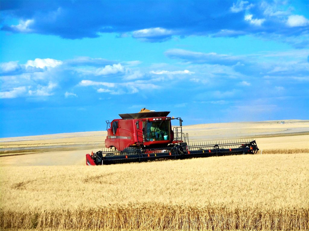 0 Buena Vista Road, Valier, MT 59486 photo 33