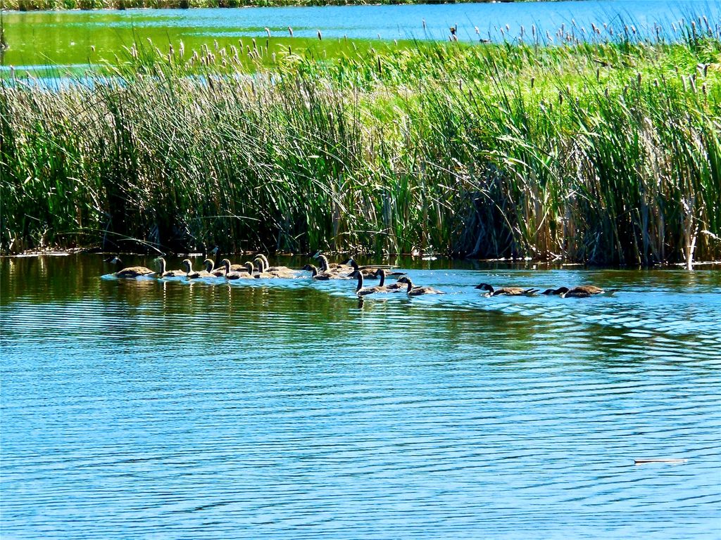 0 Buena Vista Road, Valier, MT 59486 photo 46