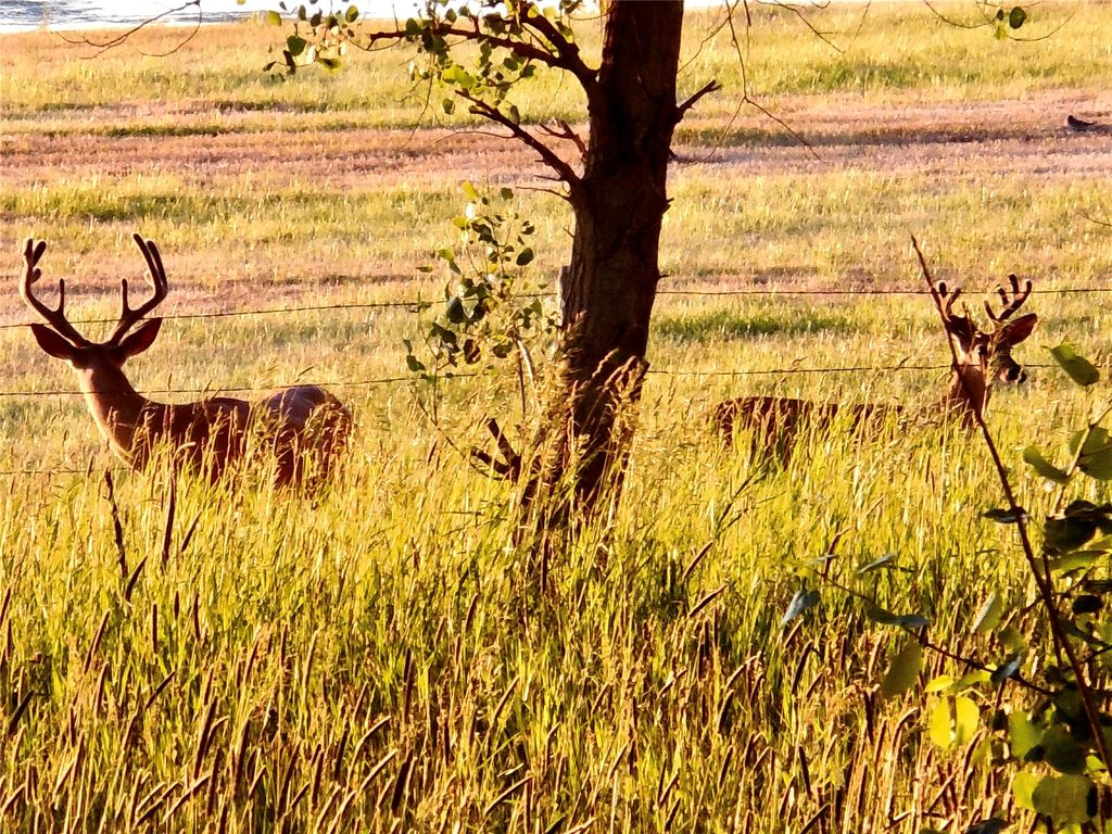 0 Buena Vista Road, Valier, MT 59486 photo 57