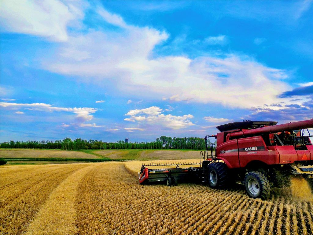 0 Buena Vista Road, Valier, MT 59486 photo 6