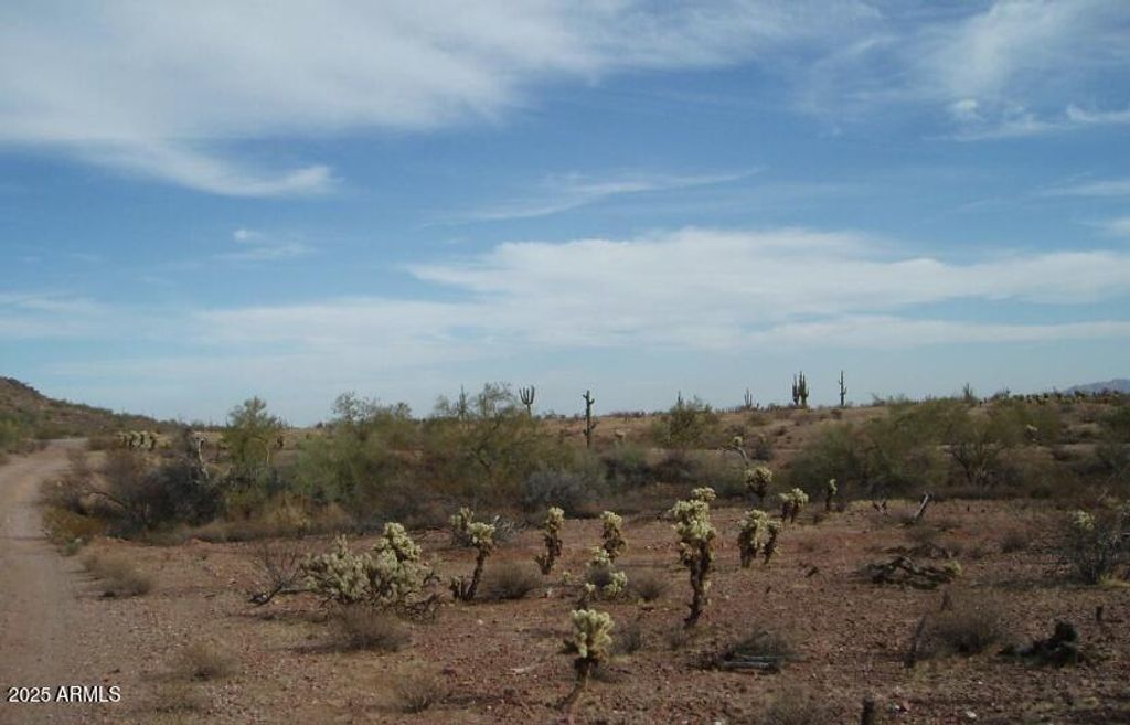 29980 W Restin Road 146, Unincorporated County, AZ 85361 — photo 2