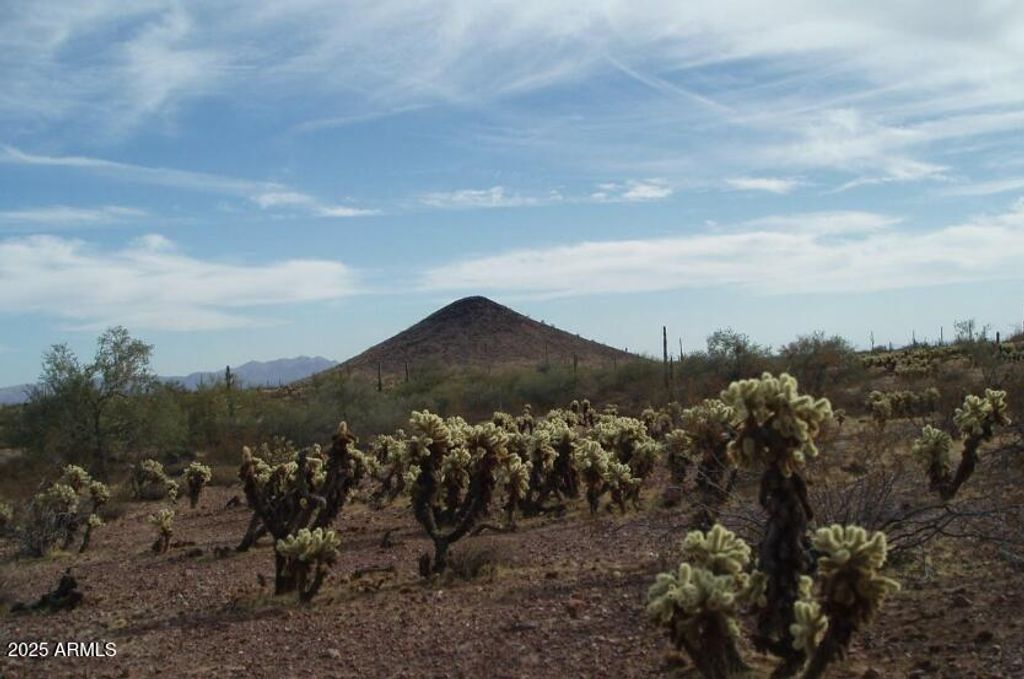 29980 W Restin Road 146, Unincorporated County, AZ 85361 — photo 3