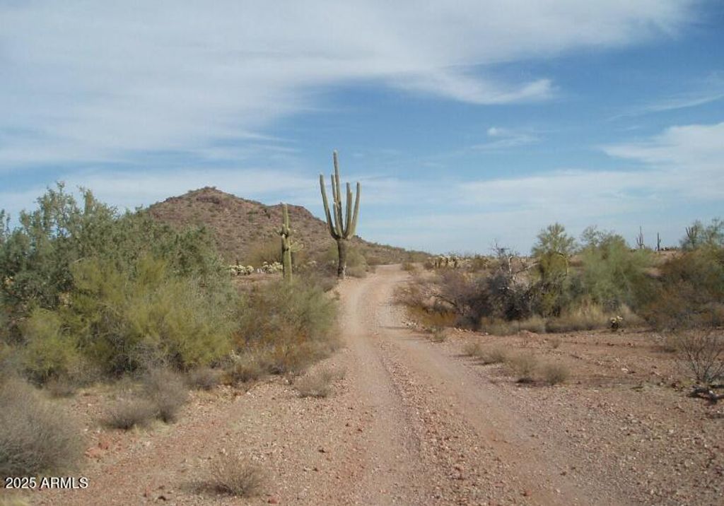 29980 W Restin Road 146, Unincorporated County, AZ 85361 — photo 4