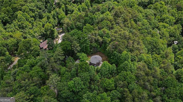 174 Chestnut Ridge, Blue Ridge, GA 30513