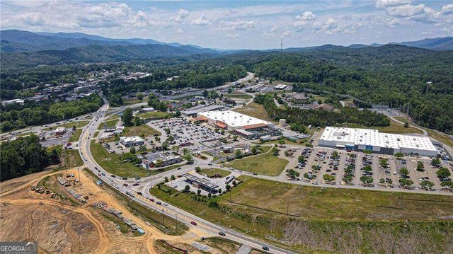 174 Chestnut Ridge, Blue Ridge, GA 30513