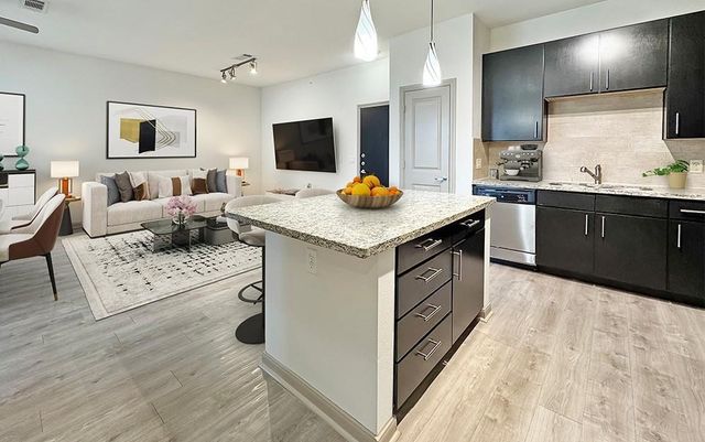 206 Mc Gowen Street 4420, Houston, TX 77006