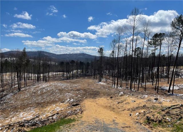 134 Twisted Oak Road, Talking Rock, GA 30175