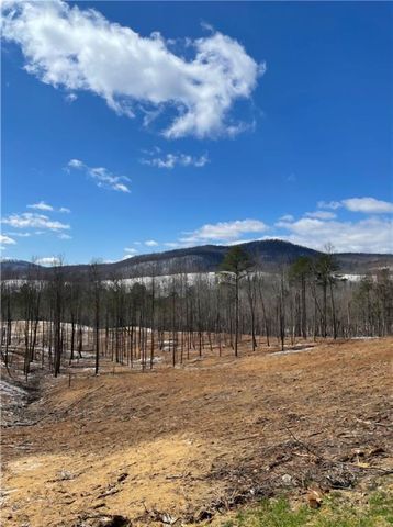 134 Twisted Oak Road, Talking Rock, GA 30175