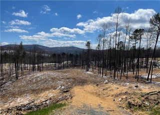 134 Twisted Oak Road, Talking Rock, GA 30175