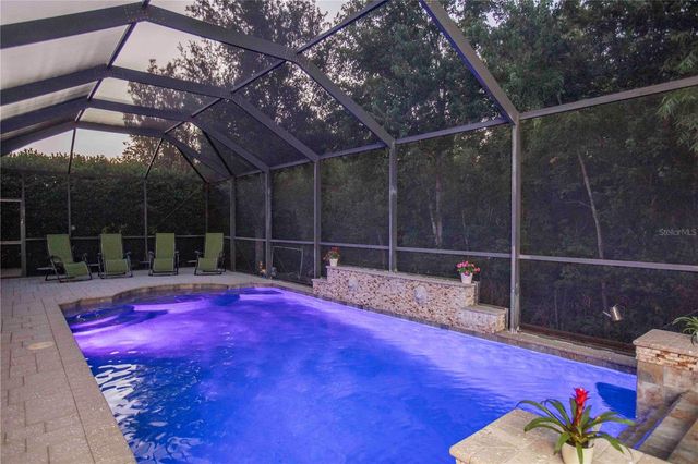 15141 AZRA DRIVE, Odessa, FL 33556