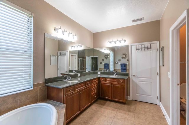 15141 AZRA DRIVE, Odessa, FL 33556