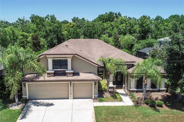 15141 AZRA DRIVE, Odessa, FL 33556