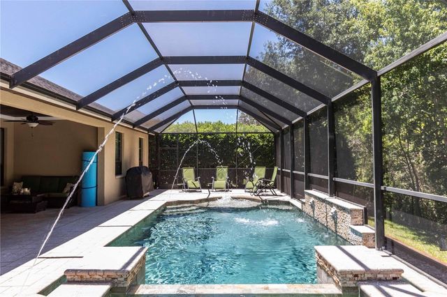 15141 AZRA DRIVE, Odessa, FL 33556