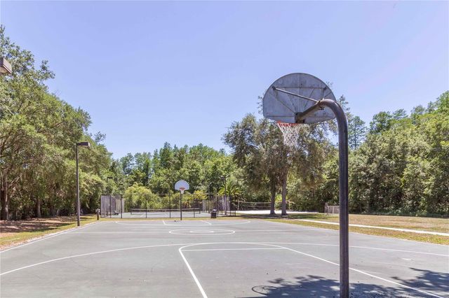 15141 AZRA DRIVE, Odessa, FL 33556