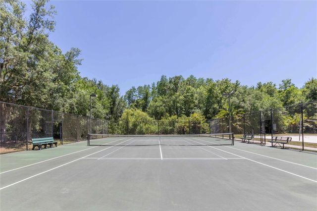 15141 AZRA DRIVE, Odessa, FL 33556