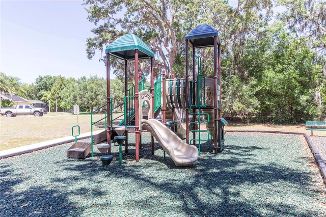 15141 AZRA DRIVE, Odessa, FL 33556