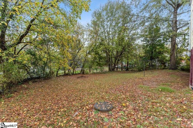 309 Flat Drive, Buffalo, SC 29321