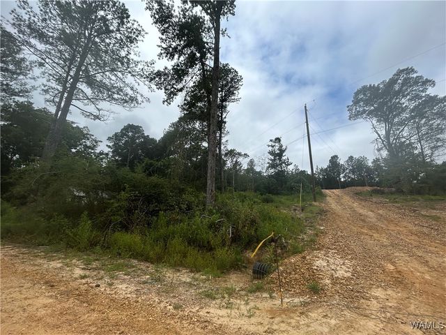 273 Honeysuckle, Fayette, AL 35555