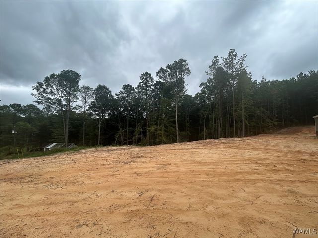 273 Honeysuckle, Fayette, AL 35555