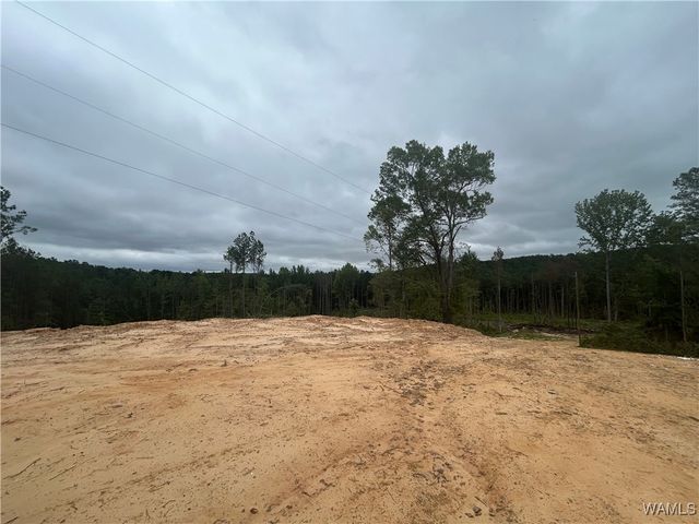 273 Honeysuckle, Fayette, AL 35555