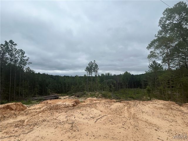 273 Honeysuckle, Fayette, AL 35555