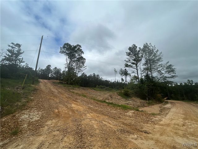 273 Honeysuckle, Fayette, AL 35555