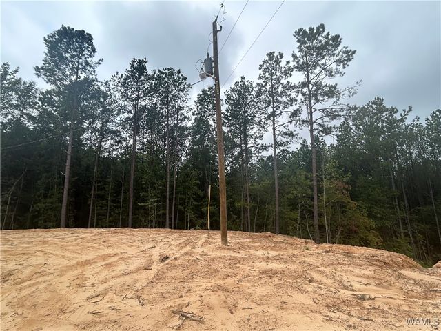 273 Honeysuckle, Fayette, AL 35555