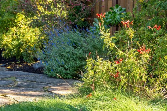 7607 VALENTINE ST, Oakland, CA 94605