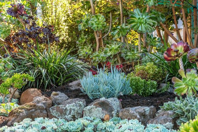 7607 VALENTINE ST, Oakland, CA 94605