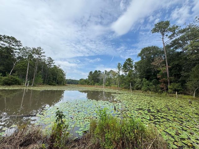 TBD Sandy Creek Road, Willis, TX 77378
