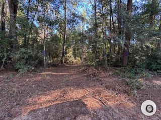 TBD Sandy Creek Road, Willis, TX 77378