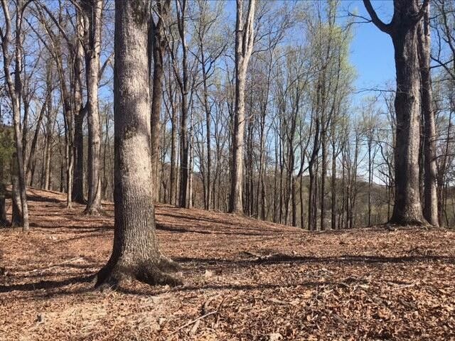 10556 Dayton Pike, Soddy Daisy, TN 37379