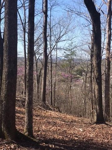 10556 Dayton Pike, Soddy Daisy, TN 37379